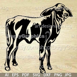 Vector COW, brahman calf, AI, PNG, eps, pdf, svg, dxf, jpg Instant Download, graphical image Art Print, Digital image