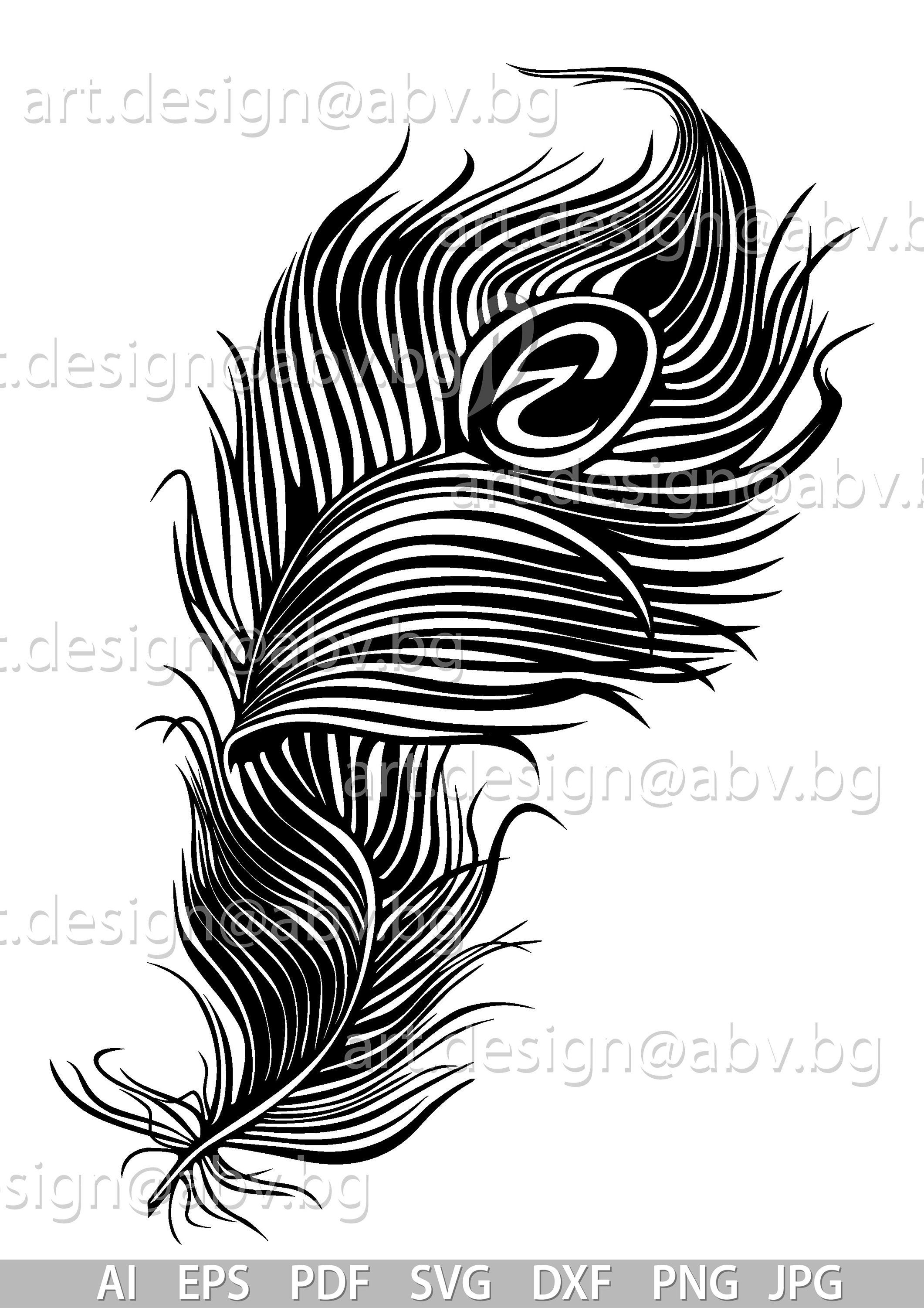 Peacock Feather Vector Graphic (digital Download) - Etsy, image size:2121x3000
