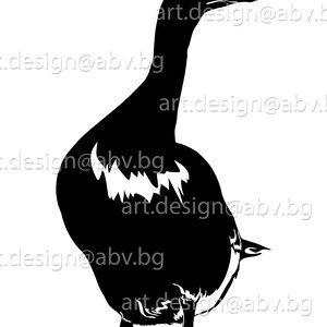 Vector GOOSE, AI, Eps, Pdf, Png, Svg, Dxf, Jpg Image Graphic Digital ...