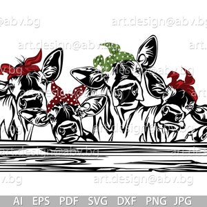 Vector 4 HEIFERS, for PRINTING, calf, head, AI, png, eps, pdf, svg, dxf, jpg Instant Download, svg cow, bandana, Digital image