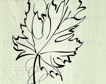 Vector LEAF, vine, AI, eps, pdf, svg, dxf, png, jpg Download files, Digital, graphical, discount coupons