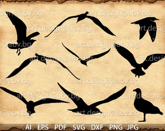 Vector BIRDS, seagull, ai, eps, SVG, pdf, dxf, png, jpg Download Saddleback