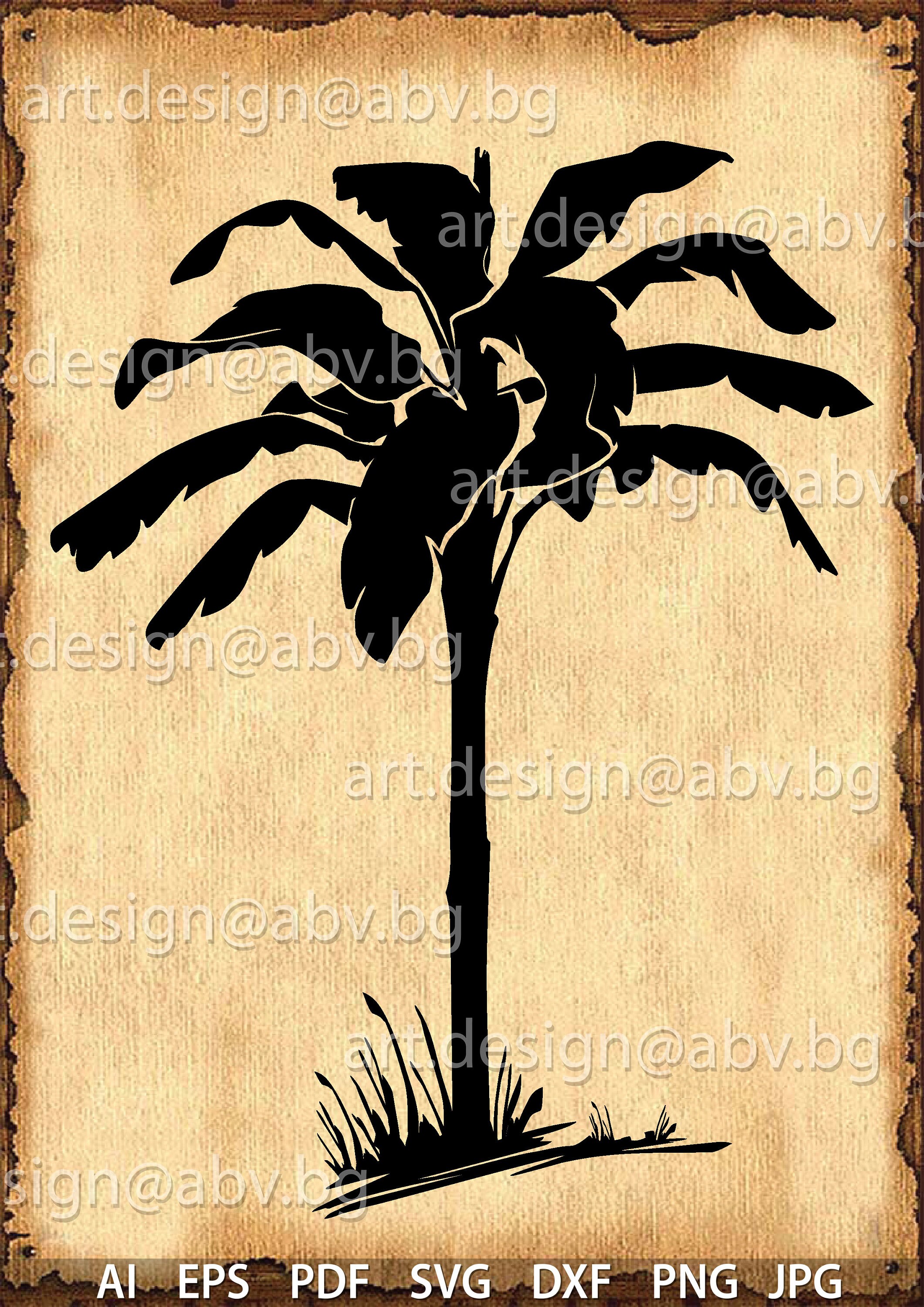 Vector PALM tree AI eps pdf svg dxf png jpg Download | Etsy