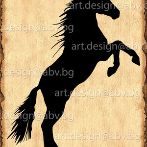 Vector HORSE SVG DXF ai eps pdf png jpg Download Digital image graphical image