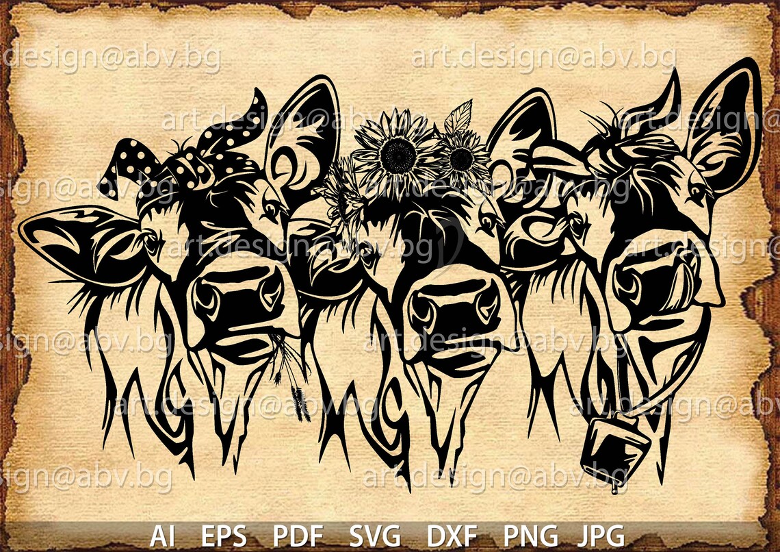 Vector 3 HEIFERS, Calf, Head, AI, Png, Eps, Pdf, Svg, Dxf, Jpg Instant ...