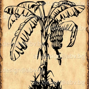 Vector PALMboom, AI, eps, pdf, svg, dxf, png, jpg downloaden, bananenboom, kortingsbonnen