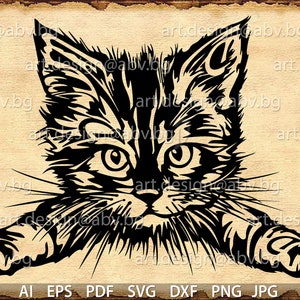 Vector CAT, AI, PNG, eps, pdf, svg, dxf, jpg Download files, Digital, graphical, discount coupons