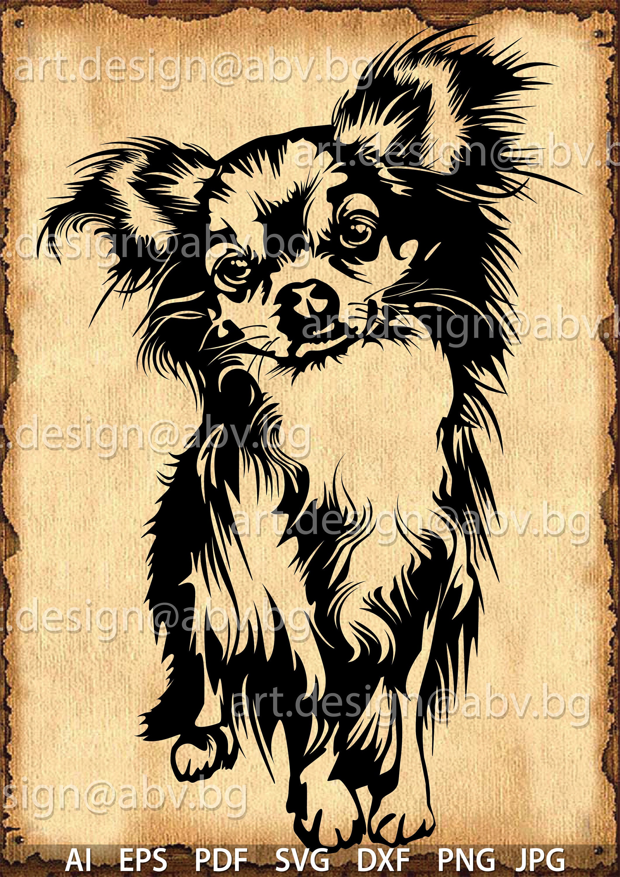 2,082 Chihuahua Bag Images, Stock Photos, 3D objects, & Vectors