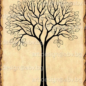 ALBERO DELLE NOZZE vettoriale, silhouette, AI, eps, pdf, svg, dxf, png, jpg Immagine Grafica Download Digitale Opera d'arte, grafica, buoni sconto