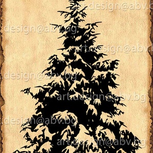 Vector CONIFER, evergreen, winter, AI, PNG, eps, pdf, svg, dxf, jpg Download, tree, discount coupons