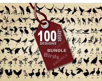 100 Bird Vector Art Designs Bundle (Digital Download)