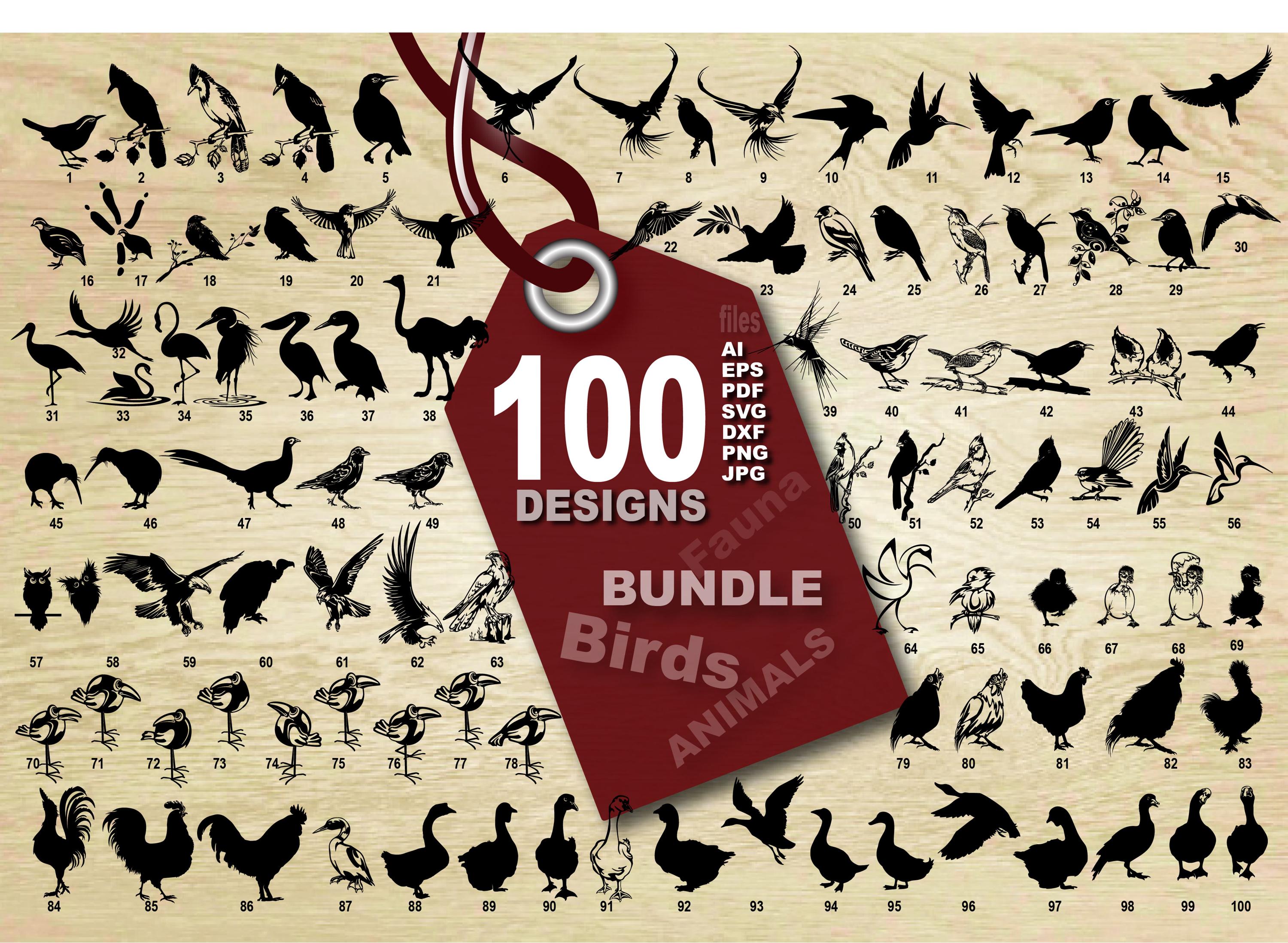 100 Bird Vector Art Designs Bundle (Digital Download)