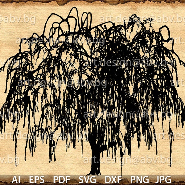 Vector weeping WILLOW, printable tree, Salix babylonica, AI, PNG, pdf, eps, svg, dxf, jpg, Download, discount coupons
