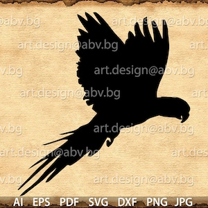 Vector PARROT, silhouette, AI, eps, pdf, SVG, dxf, png, jpg Download, Immagine digitale, grafica, buoni sconto