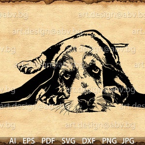 Vector DOG, basset, SVG, DXF, ai, png, pdf, eps, jpg Download, Digital image, graphical, animal, discount coupons
