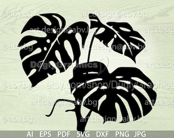 Vector PLANT, Monstera leaves, AI, eps, pdf, svg, dxf, png, jpg Image Graphic Digital Download Artwork, graphical