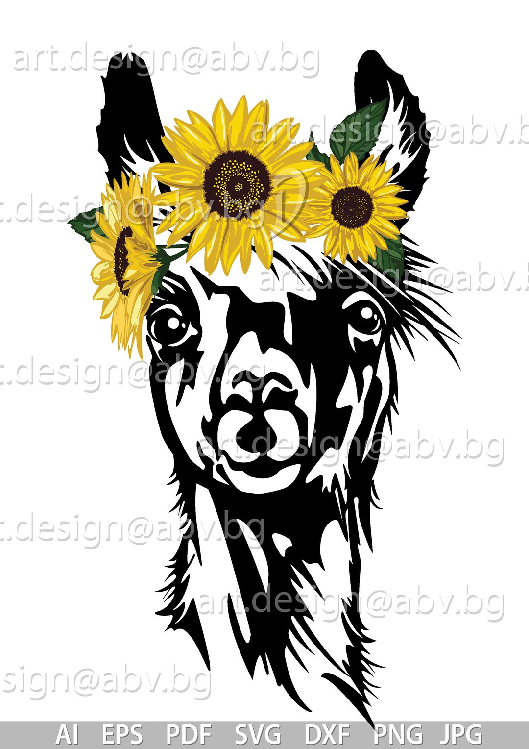 Vector LLAMA With Sunflowers, Alpaca, Head, AI, PNG, Eps, Pdf, Svg, Dxf
