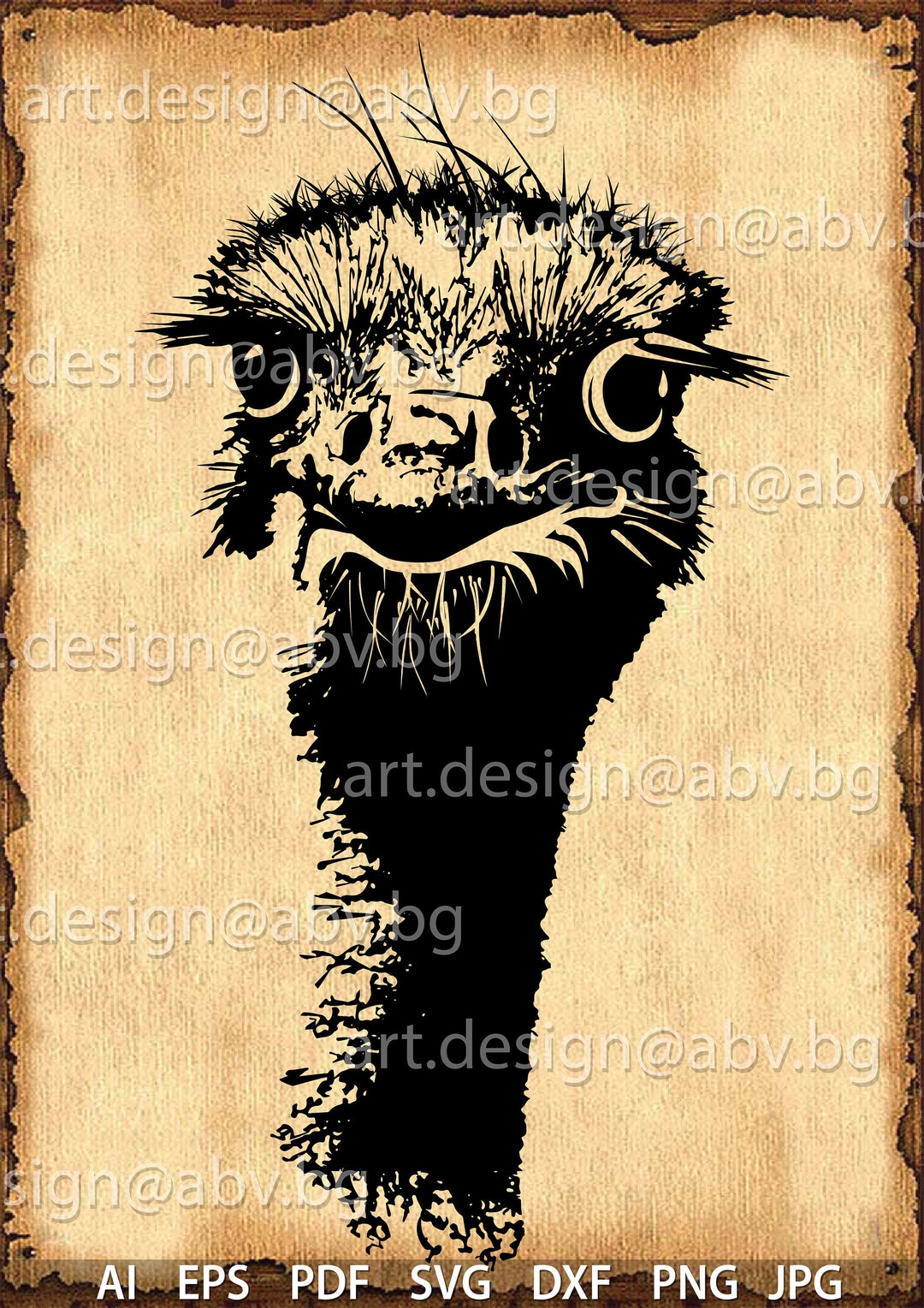 Vector OSTRICH, AI, Eps, Pdf, Svg, Dxf, Png, Jpg Download, Digital