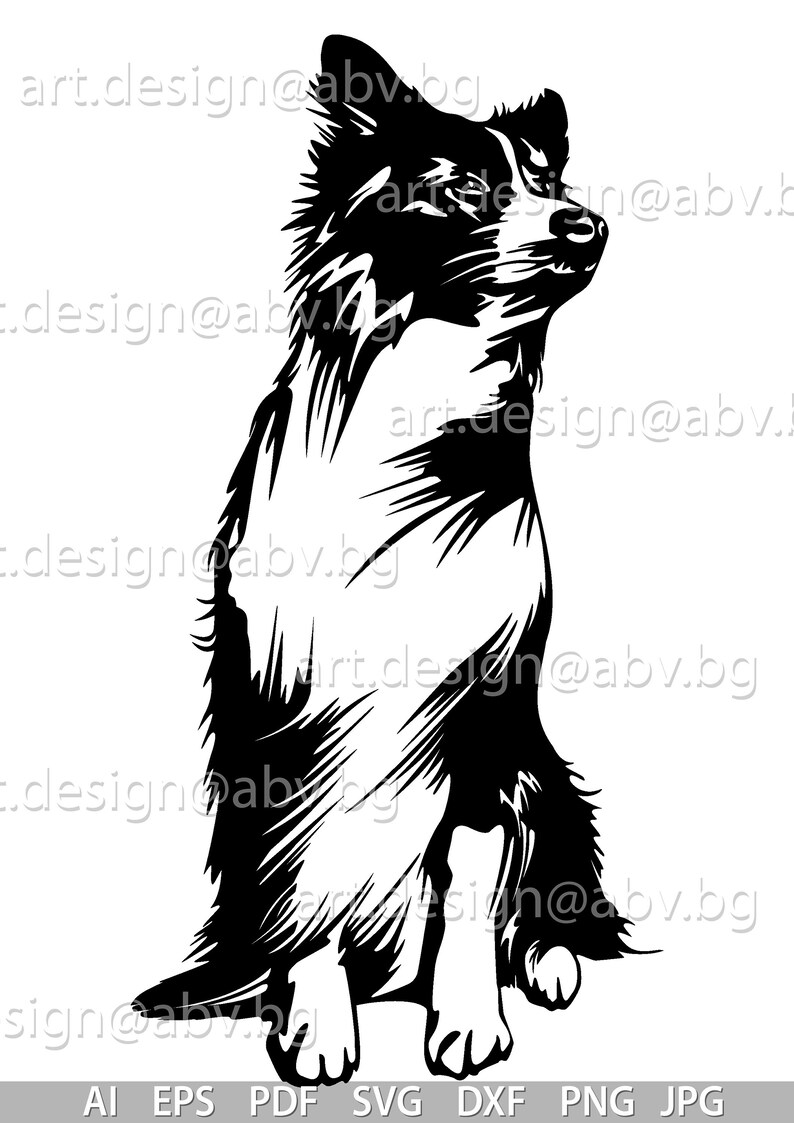 Download Vector DOG Border Collie AI png pdf eps svg dxf jpg | Etsy
