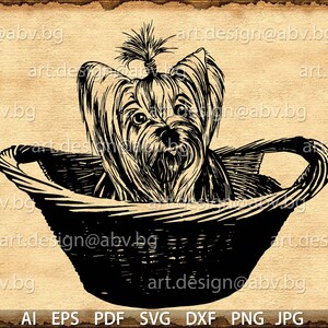 Vector DOG in basket, yorkie, SVG, DXF, ai, png, pdf, eps, jpg Download, Digital image, graphical, animal, discount coupons