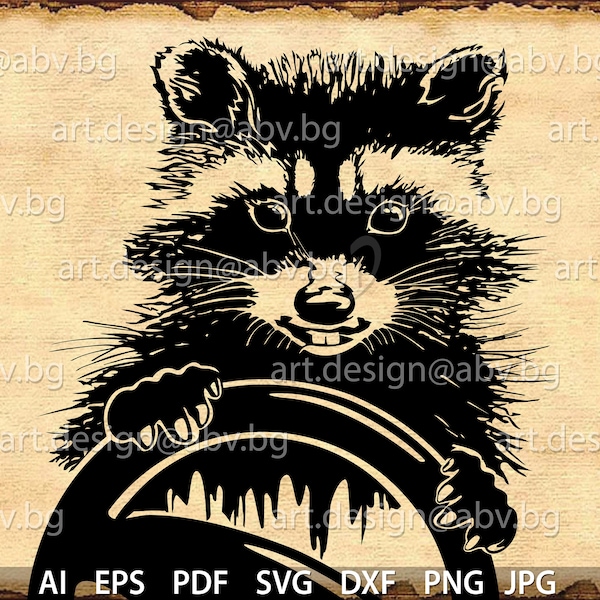 Vector RACCOON driver, AI, eps, png, pdf, SVG, dxf, jpg Download, Digital image, graphical image, discount coupons