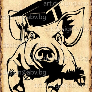 May include: Black and white silhouette of a pig wearing a graduation cap. The pig is looking forward with a serious expression.