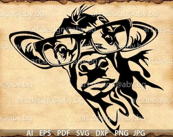 Cow with Eyeglasses Vector Art: Funny Heifer Graphic (Digital Download)