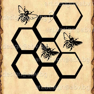 Vector BEES, beehive, ai, eps, pdf, SVG, DXF, png, jpg Download, Digital image, graphical, discount coupons