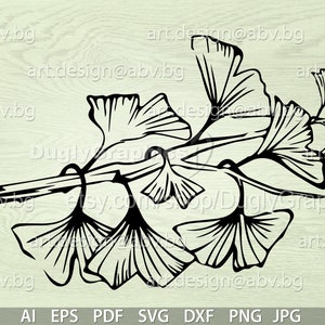 Könnte beinhalten: Schwarz-weiß-Linienzeichnung eines Ginkgoblatt-Zweigs. Die Blätter sind stilisiert und haben ein zartes, fließendes Design.