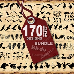 Vector 170 BIRDS and FEATHERS BUNDLE, ai, eps, pdf, svg, dxf, png, jpg Image Graphic Digital Download Artwork, animals