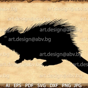 Vector BEAVER Download, AI, eps, pdf, svg, DXF, png, jpg Digital image, graphical image, discount coupons