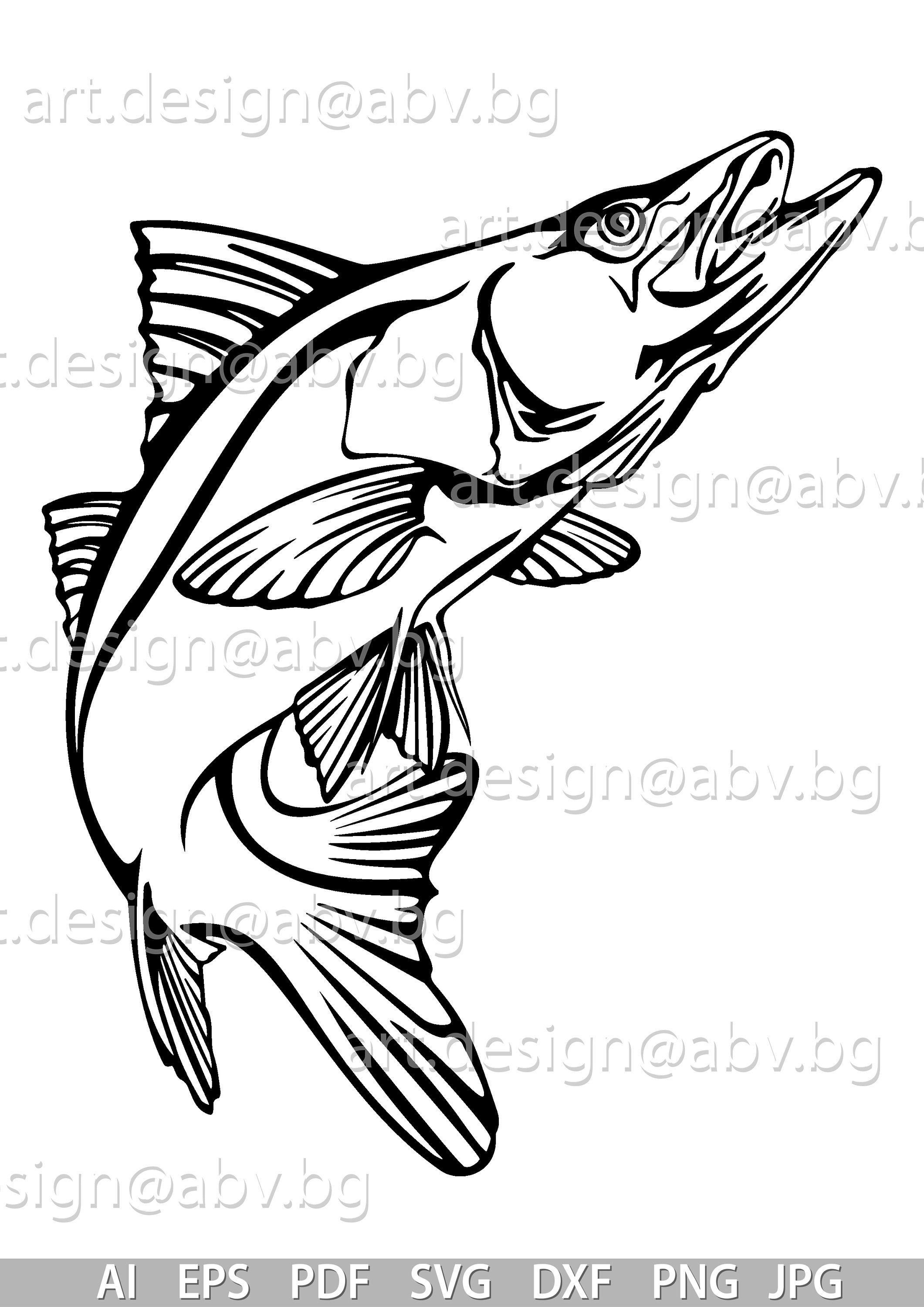 Snook Fish Vector Art: Graphic Image (digital Download) - Etsy