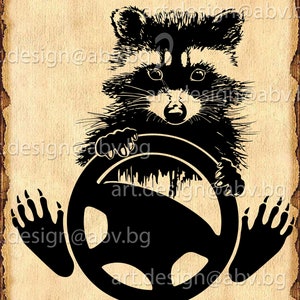 Vector RACCOON driver, AI, eps, png, pdf, SVG, dxf, jpg Download, Digital image, graphical image, discount coupons