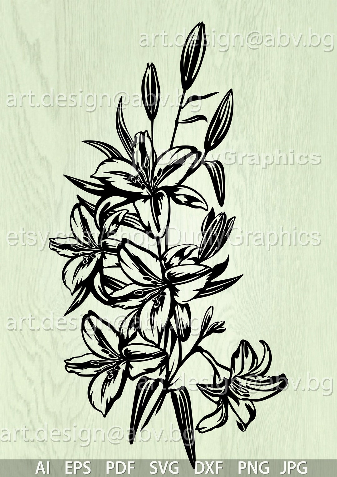 Vector STARGAZER FLOWERS in Black AI Eps Pdf Svg Dxf - Etsy