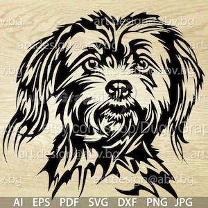 Shorkie Poo Etsy UK