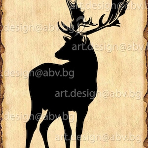 Vector FALLOW DEER body silhouette, AI, eps, pdf, svg, dxf, png, jpg Download, Digital, graphical, discount coupons