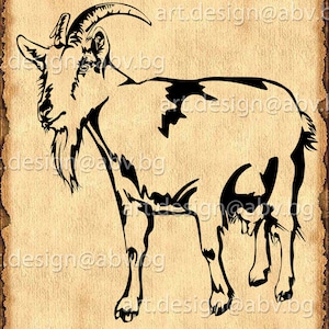 Vector SAANEN GOAT, AI, png, eps, pdf, svg, dxf, jpg Instant Download, graphical image Art Print, animal, Digital image