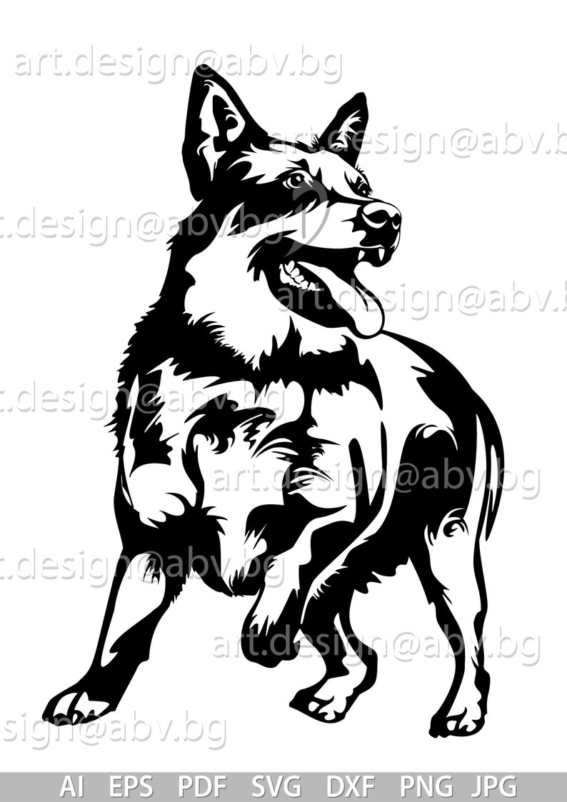 Vector DOG Blue Heeler AI png pdf eps svg dxf jpg | Etsy