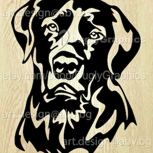 Vector DOG, Labrador Retriever, AI, eps, pdf, svg, dxf, png, jpg Download, Digital image, graphical, animal head, discount coupons image 1