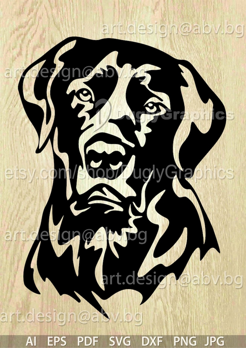 Vector DOG, Labrador Retriever, AI, eps, pdf, svg, dxf, png, jpg Download, Digital image, graphical, animal head, discount coupons image 1