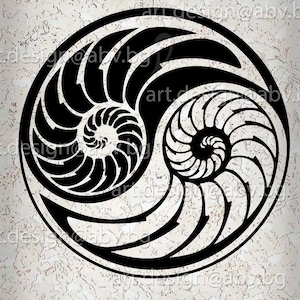 May include: Black and white graphic design of two nautilus shells, spiraling inward, creating a yin yang symbol.