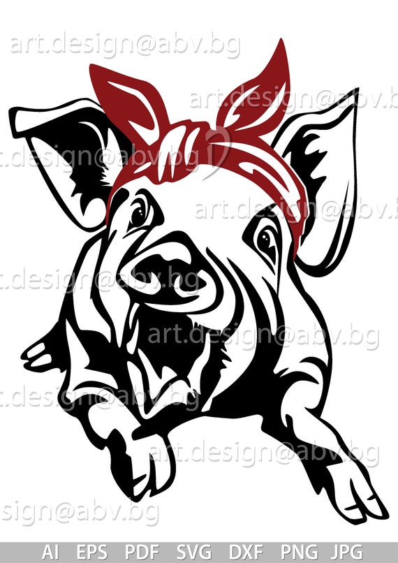 Vector Pig With Bandana Ai Eps Pdf Svg Dxf Png Jpg Etsy