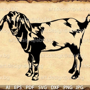 Vector GOAT, Mini Nubian goat, AI, PNG, eps, pdf, svg, dxf, jpg Download, Digital image, graphical, animal, swine, discount coupons
