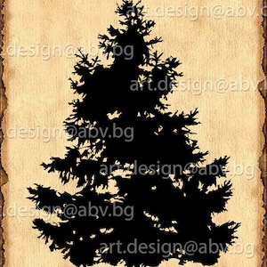 Vector CONIFER, evergreen, AI, eps, pdf, svg, PNG, dxf, jpg Image Graphic Digital Download Artwork, graphical, discount coupons