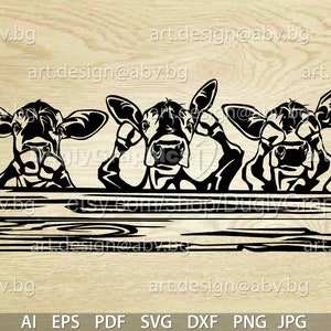 Op de afbeelding: Drie zwart-witte cartoon-koeien die over een houten hek kijken. De koeien kijken de kijker aan met hun ogen dicht en hun mond open. Het hek is gemaakt van horizontale planken.