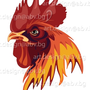 Vector ROOSTER, AI, PNG, eps, pdf, svg, dxf, jpg Download, Digital image, graphical, animal, bird, discount coupons