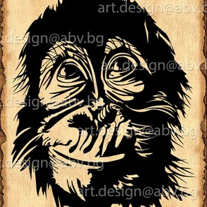May include: Black and white illustration of a monkey's face with a toothy grin. The monkey's eyes are wide open and the fur is detailed.
