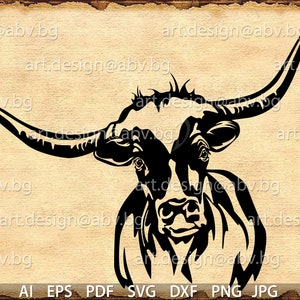 Vector COW LONGHORN, heifer, calf, head, AI, png, eps, pdf, svg, dxf, jpg Instant Download, Art Print, coupons
