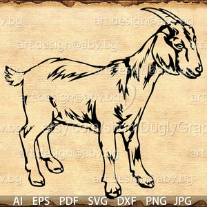 Vector GOAT, AI, PNG, eps, pdf, svg, dxf, jpg Instant Download, graphical image Art Print, animal, Digital image