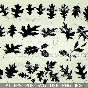 Oak Leaf Vector Bundle: 30 Graphic Images (Digital Download)
